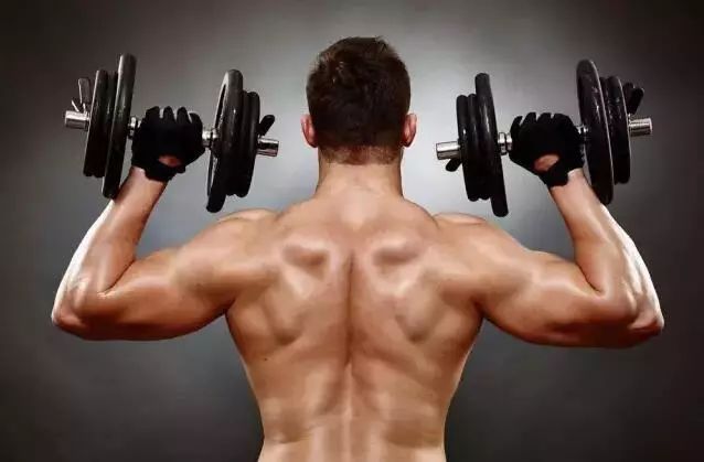 手套健身护腕需要戴吗_健身手套需要护腕吗_手套健身护腕需要带多久