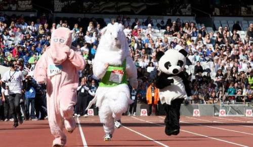 kaiyun体育 运动会,我为自己点赞初一作文