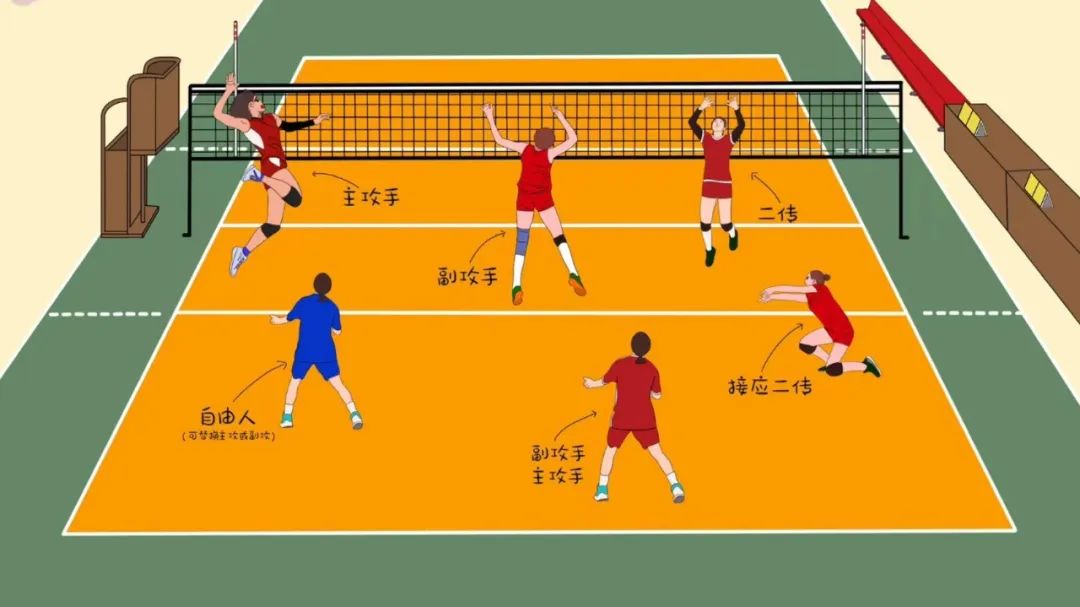 肩袖损伤体位摆放_哪位运动员有肩袖损伤_肩袖损伤活动度