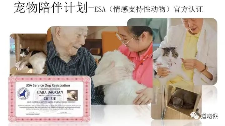 alterg反重力跑步机官网_反重力跑步机多少钱_无重力跑步机使用教程