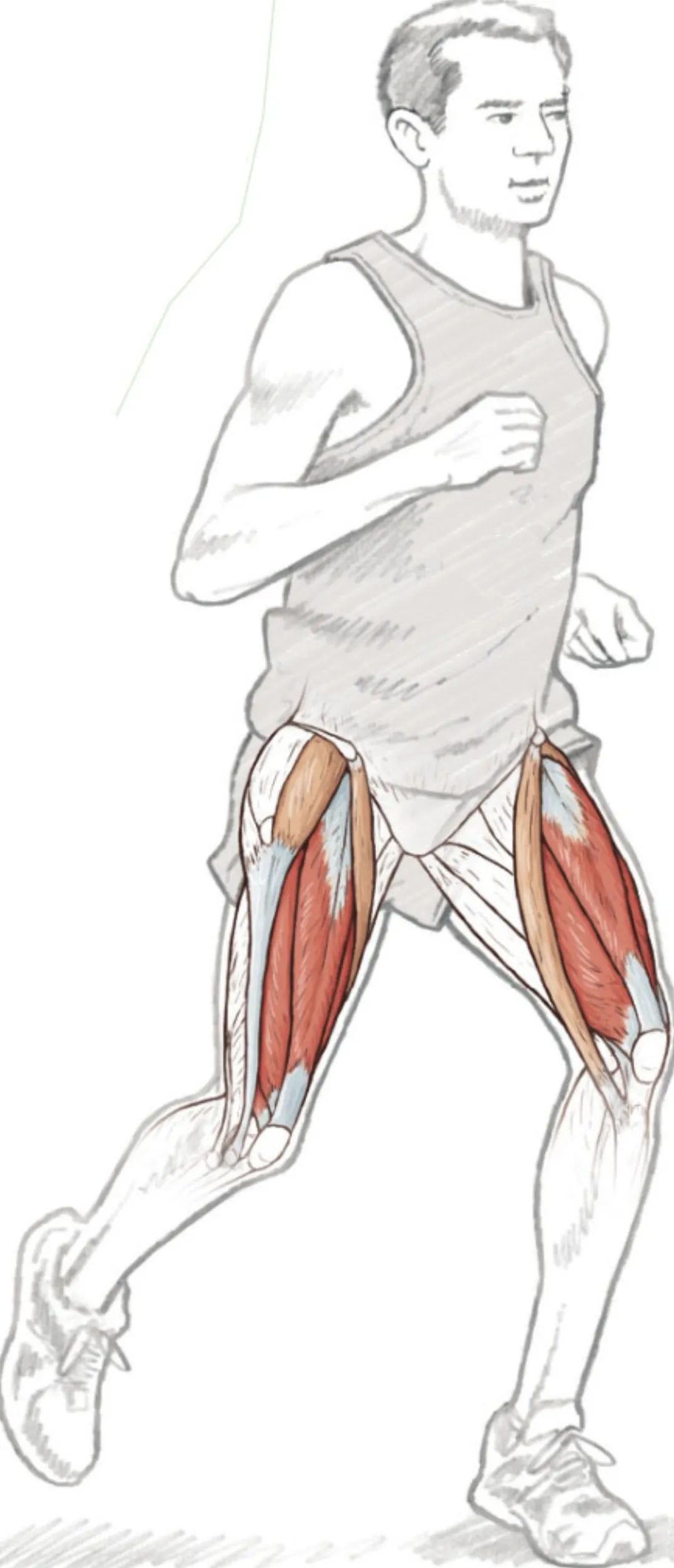 股四头肌训练椅安装步骤_股四头肌训练椅_股四头肌训练椅安装视频