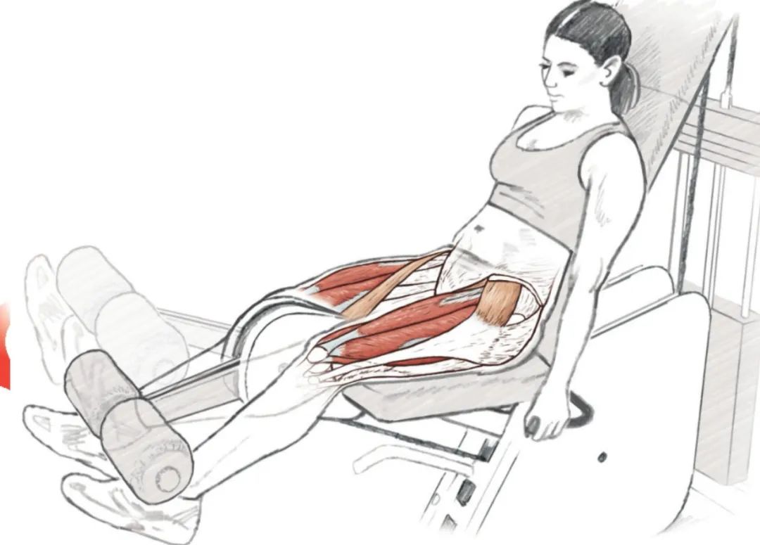 股四头肌训练椅安装步骤_股四头肌训练椅_股四头肌训练椅安装视频