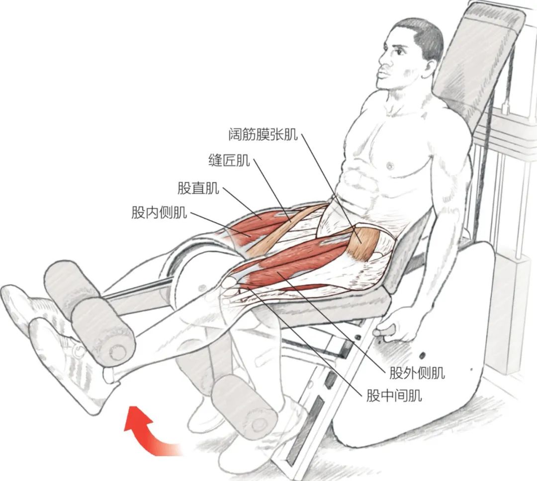 股四头肌训练椅安装视频_股四头肌训练椅安装步骤_股四头肌训练椅