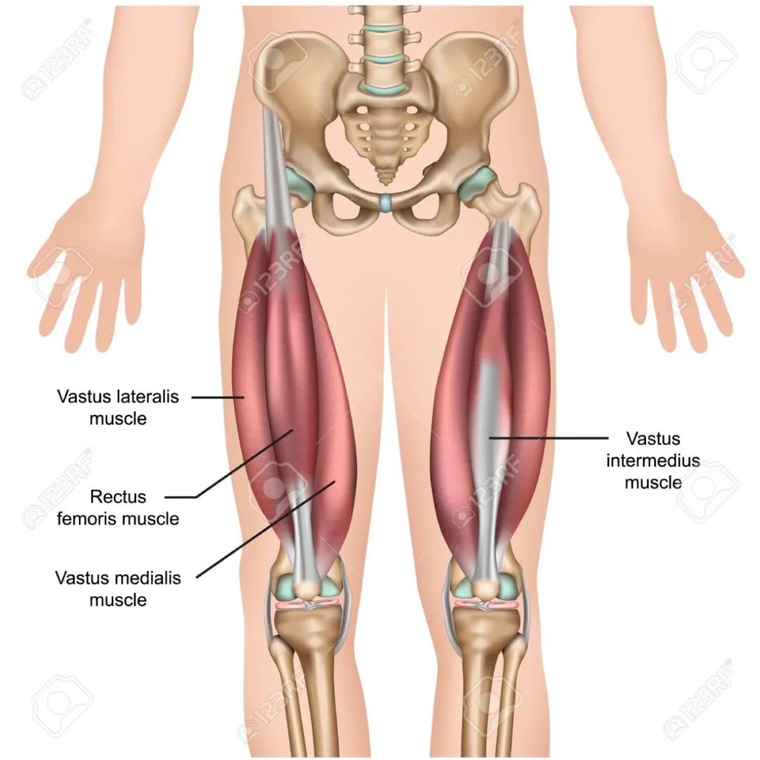 股四头肌训练椅安装视频_股四头肌训练椅注意事项_股四头肌训练椅