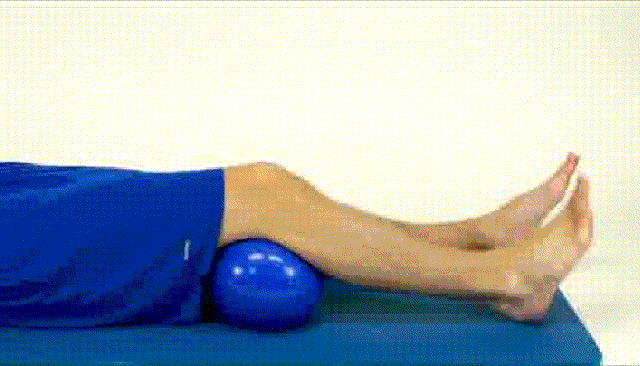 股四头肌训练椅安装视频_股四头肌训练椅_股四头肌训练椅注意事项