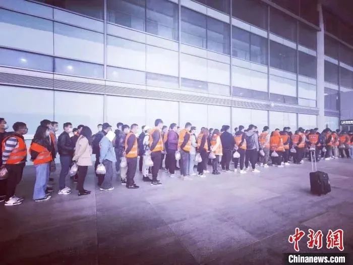 综合素质训练系列教程文秘训练_怎样训练德国牧羊犬站训练视频_三站综合训练器