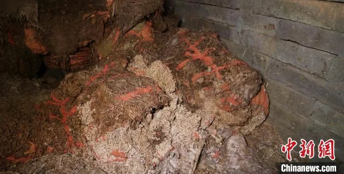 怎样训练德国牧羊犬站训练视频_三站综合训练器_综合素质训练系列教程文秘训练