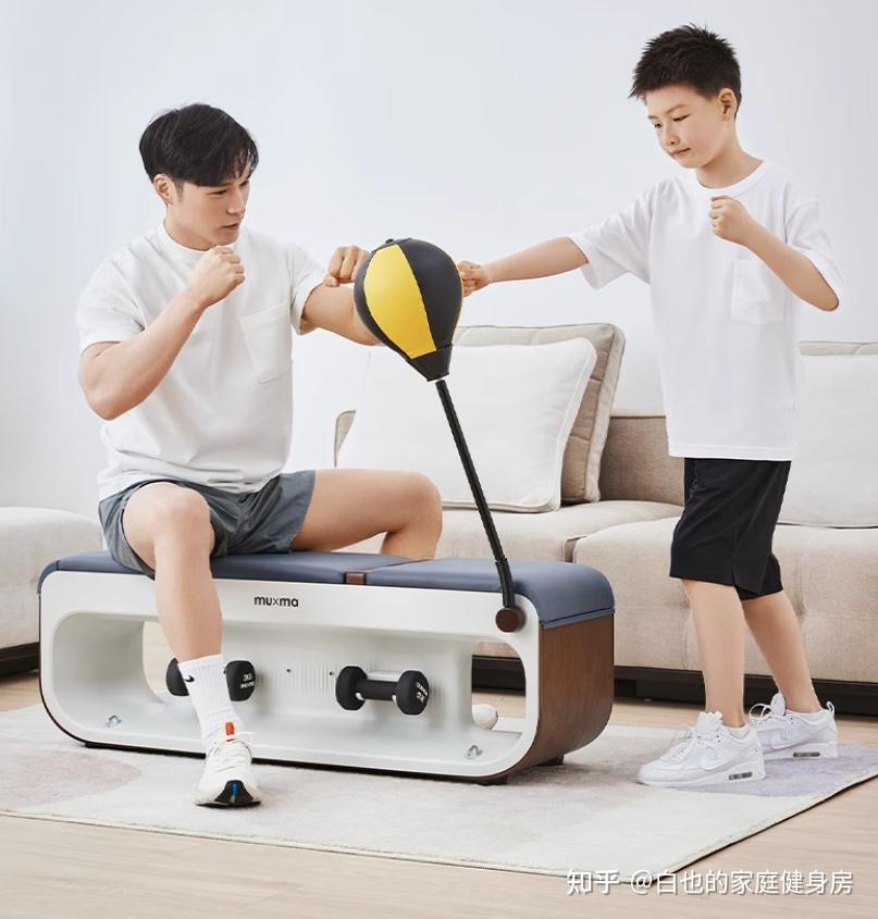 家用综合训练器 配重_家用综合训练器材哪种最实用_家用综合训练器好不好