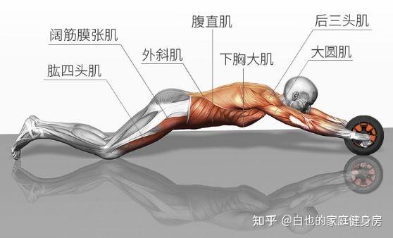 家用综合训练器 配重_家用综合训练器好不好_家用综合训练器材哪种最实用