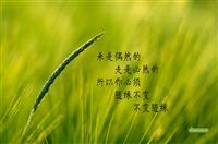 开yun体育app入口登录 瑜伽用品该如何选购