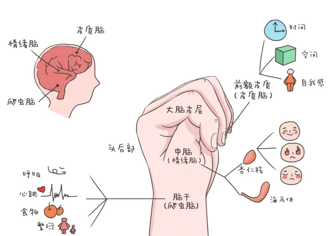 感统训练单脚站立_感统训练单腿椅_椅子练腿