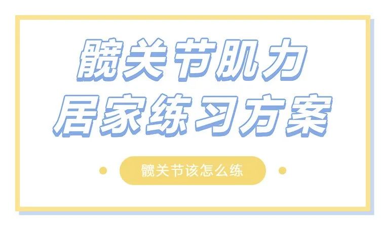 开yun体育app官方下载入口 髋关节肌力居家练习方案