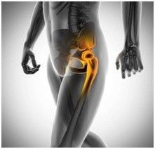 开yun体育官网入口登录app 提高髋关节和下腰部功能的脑适能练习