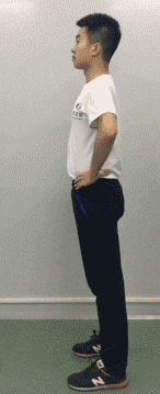 髋关节训练椅_髋关节训练器的适应症_髋关节坐姿