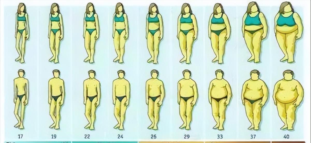 网购跑步机什么牌子好_跑步改善身体状态_中年运动减肥