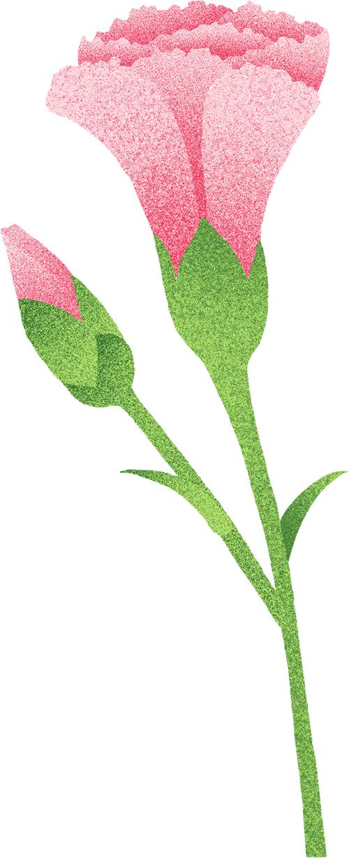 开yunapp体育官网入口下载手机版 快来参加！2025 年全国妇女广场舞（健身操舞）大赛（山西站）开始报名