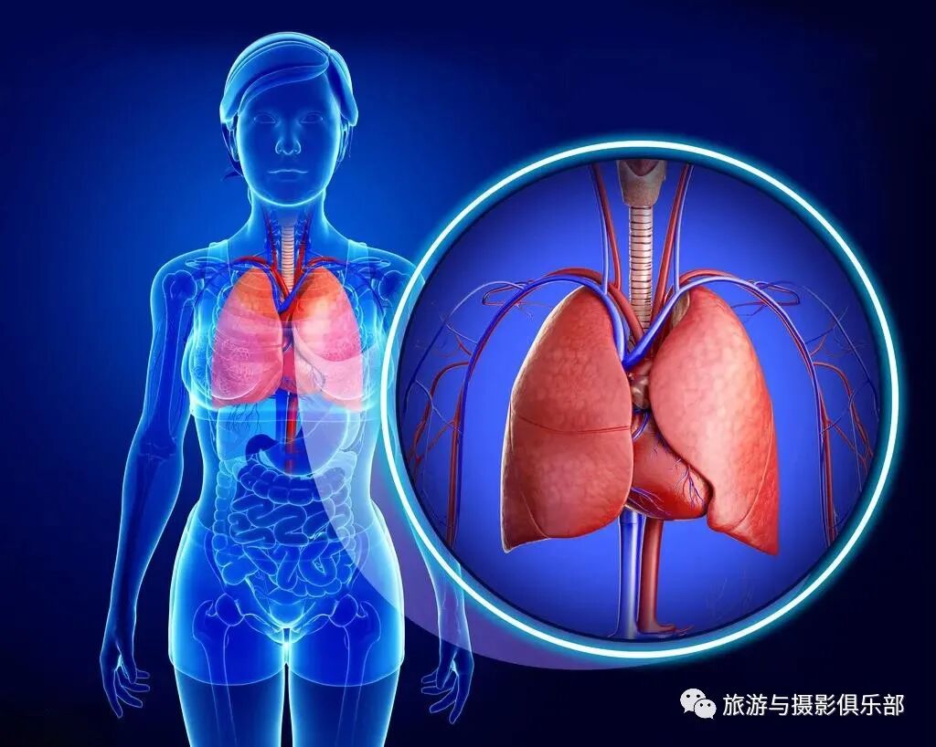 有氧运动好处及常见项目_有氧健身操效果_科学健康运动方法