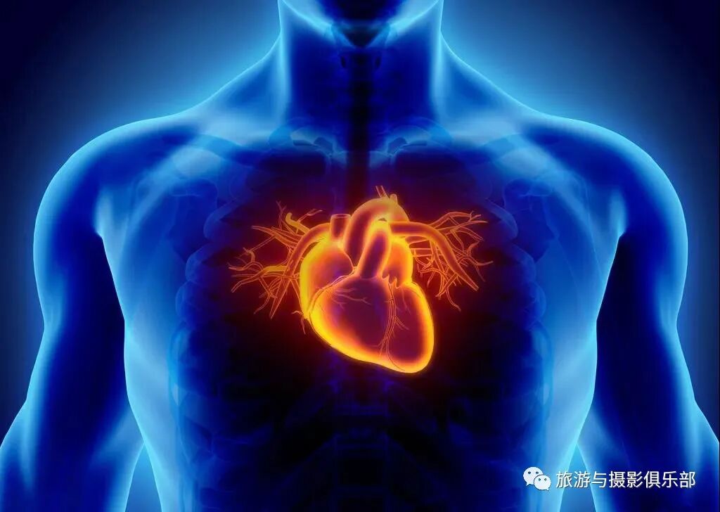 科学健康运动方法_有氧健身操效果_有氧运动好处及常见项目