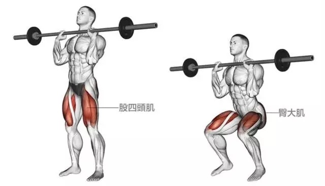 跑步膝股四头肌力量_增强股四头肌训练_股四头肌训练椅