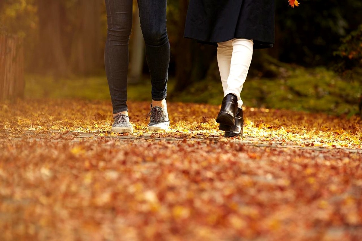 HIIT运动实测效果_最狠五种运动排名_家用跑步机质量排名