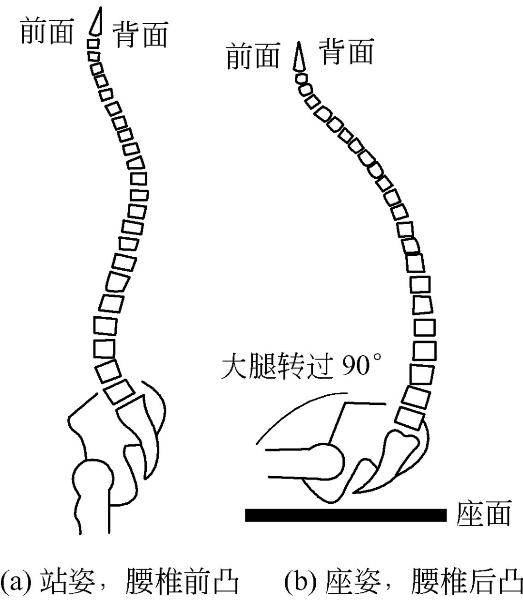 髋关节训练椅_学习椅选购_人体工学椅推荐
