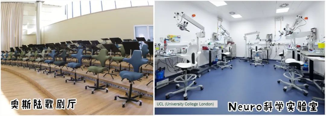 髋关节训练椅_学习椅选购_人体工学椅推荐