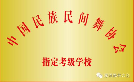 东方卫视春晚舞蹈_东方卫视舞林大会康康_东方卫视舞蹈