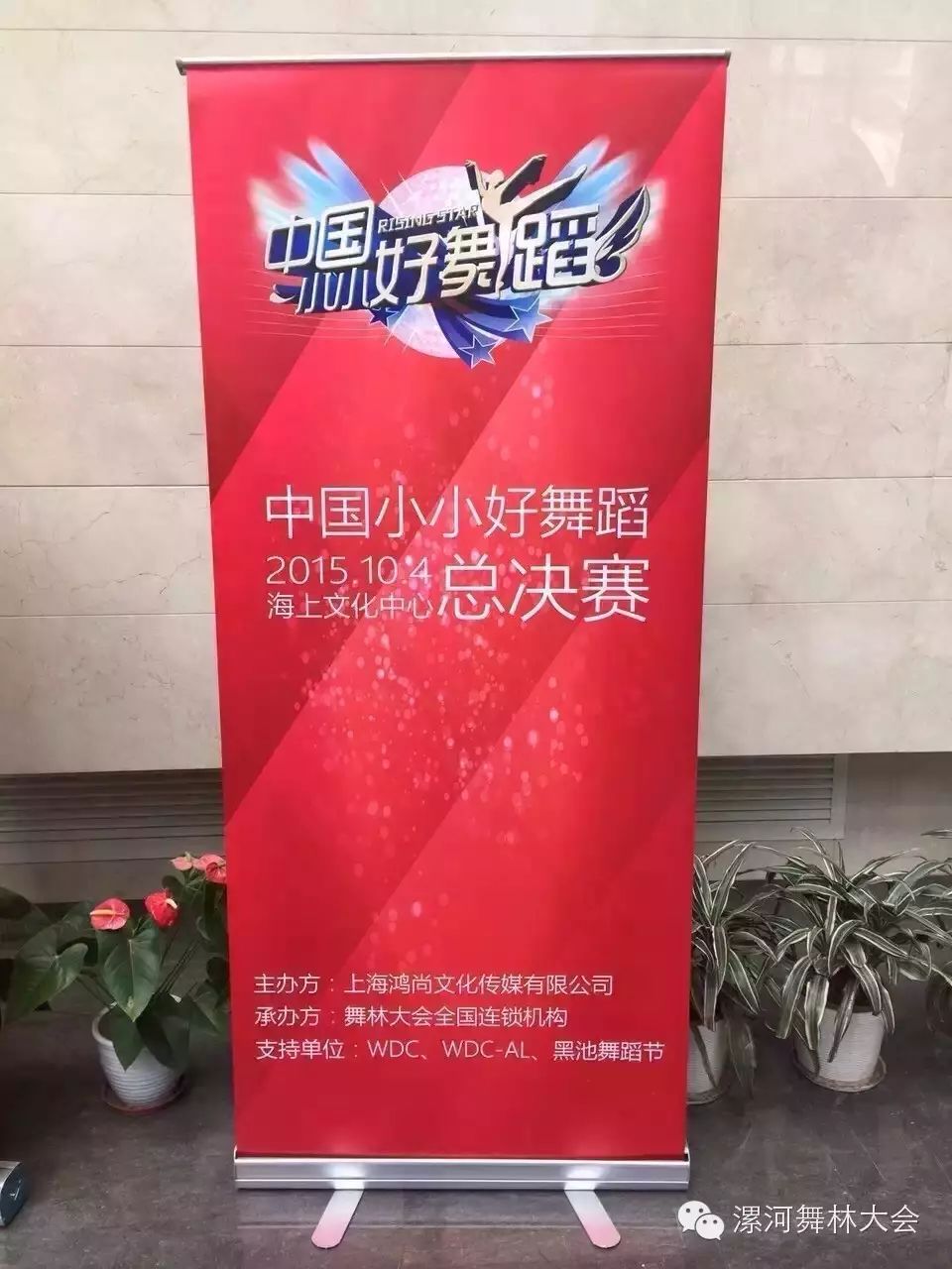 东方卫视舞蹈_东方卫视舞林大会康康_东方卫视春晚舞蹈