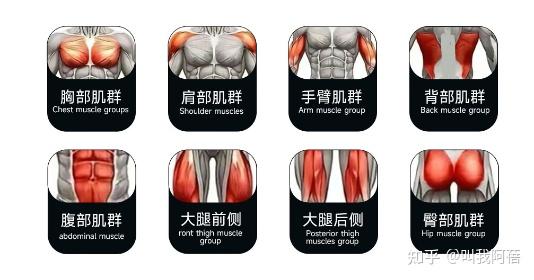 开yun体育官网入口登录体育 疯拿铁、创思维、斯诺德、马西、军霞、卓牌、美力德、康强