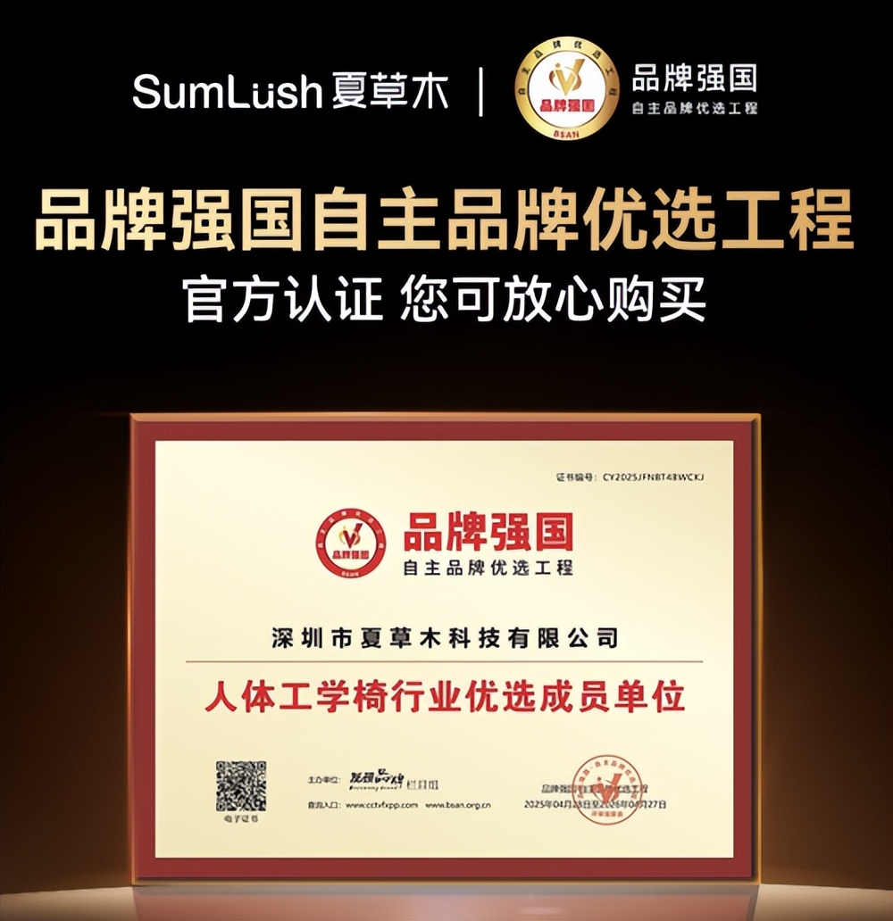 人体工学椅品牌排行榜_人体工学椅性价比排行_髋关节训练椅