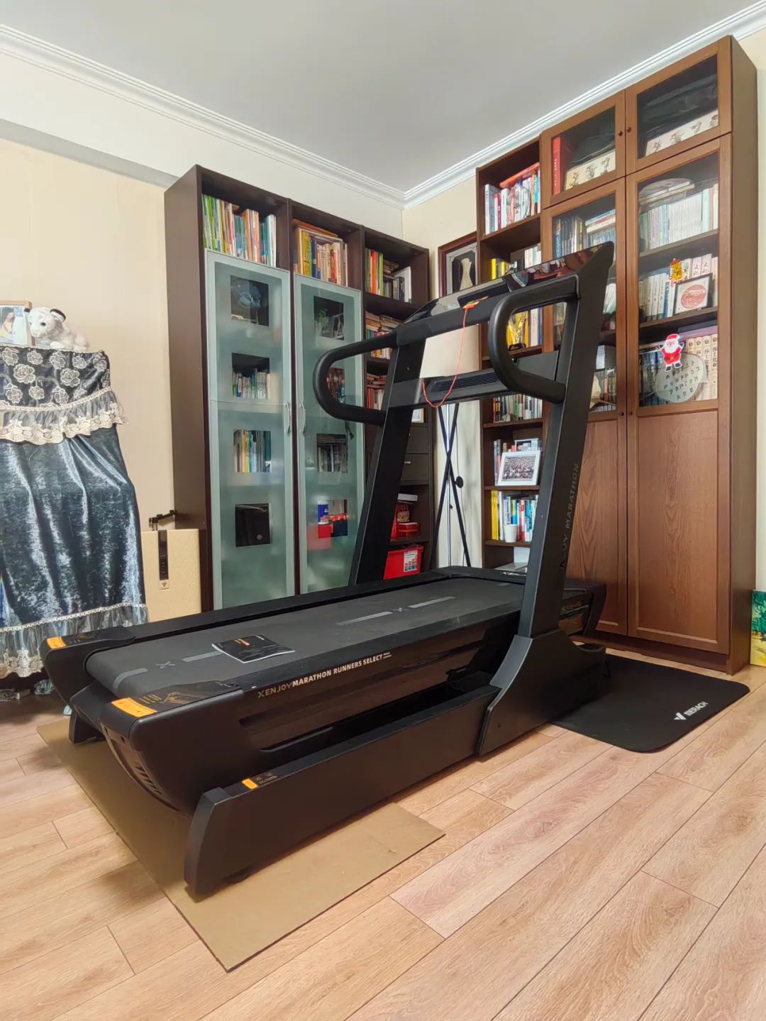  马拉松跑者家用跑步机选择 _家用跑步机什么牌子好_