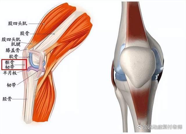股四头肌训练椅_股四头肌训练椅使用方法_股四头肌训练椅子