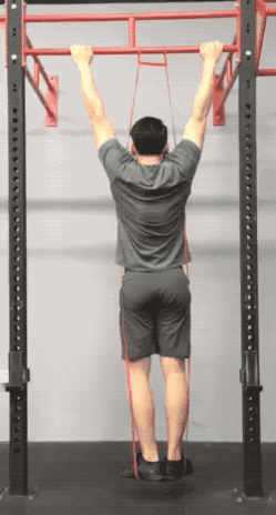 健身训练手套_正握引体向上训练方法_引体向上肌群训练