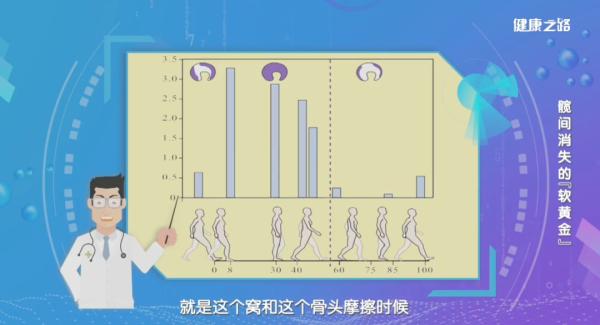 运动损伤髋关节怎么办_髋关节骨性关节炎症状_髋关节训练椅