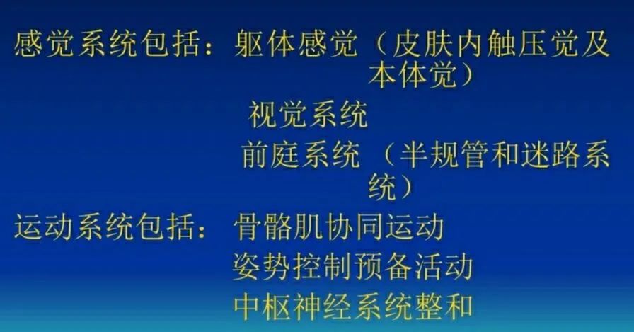 开yun体育官网入口登录app 感觉统合——平衡能力的发展