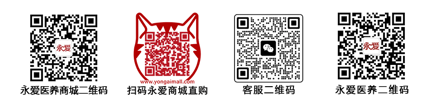 股四头肌训练椅_股四头肌训练椅安装视频_股四头肌训练椅注意事项