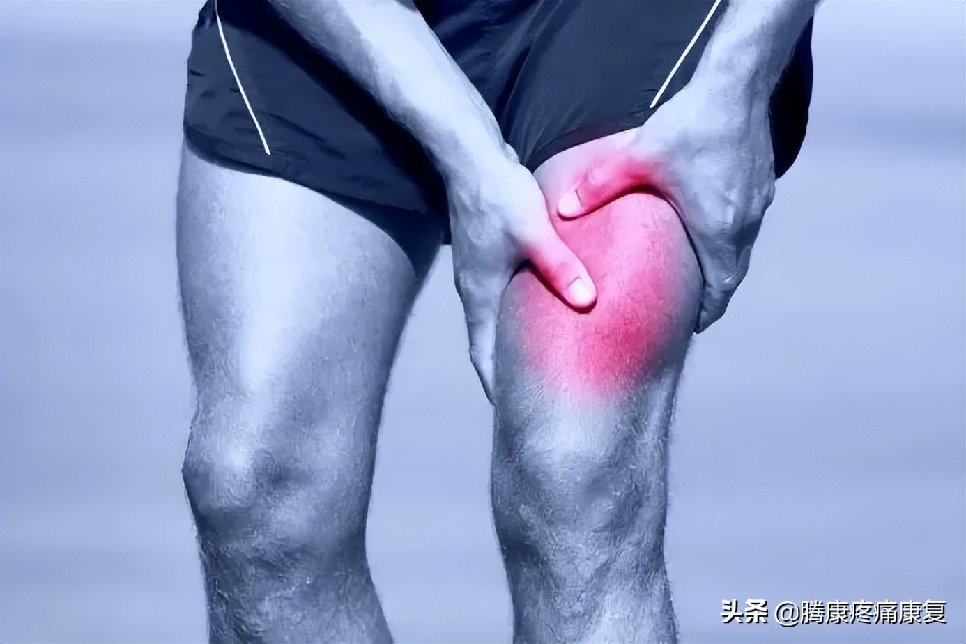股四头肌训练椅_股四头肌肌腱病变症状_股四头肌肌腱炎治疗