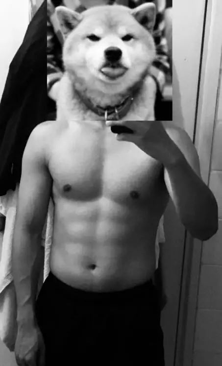 健身手套有用吗_健身手套多少钱_健身手套要紧一点吗