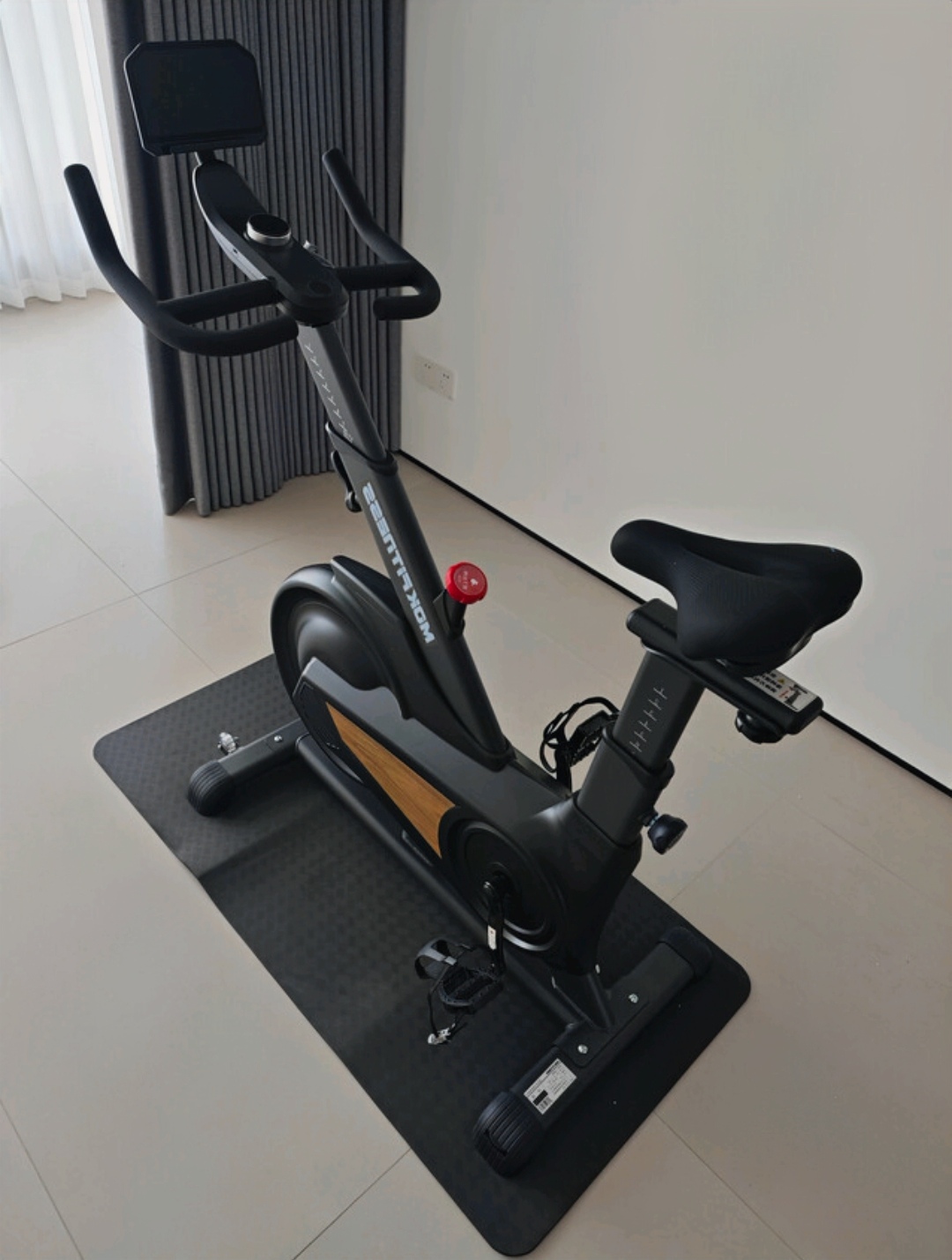 动感单车选购指南_家用跑步机什么牌子的好_飞轮重量与磁控系统