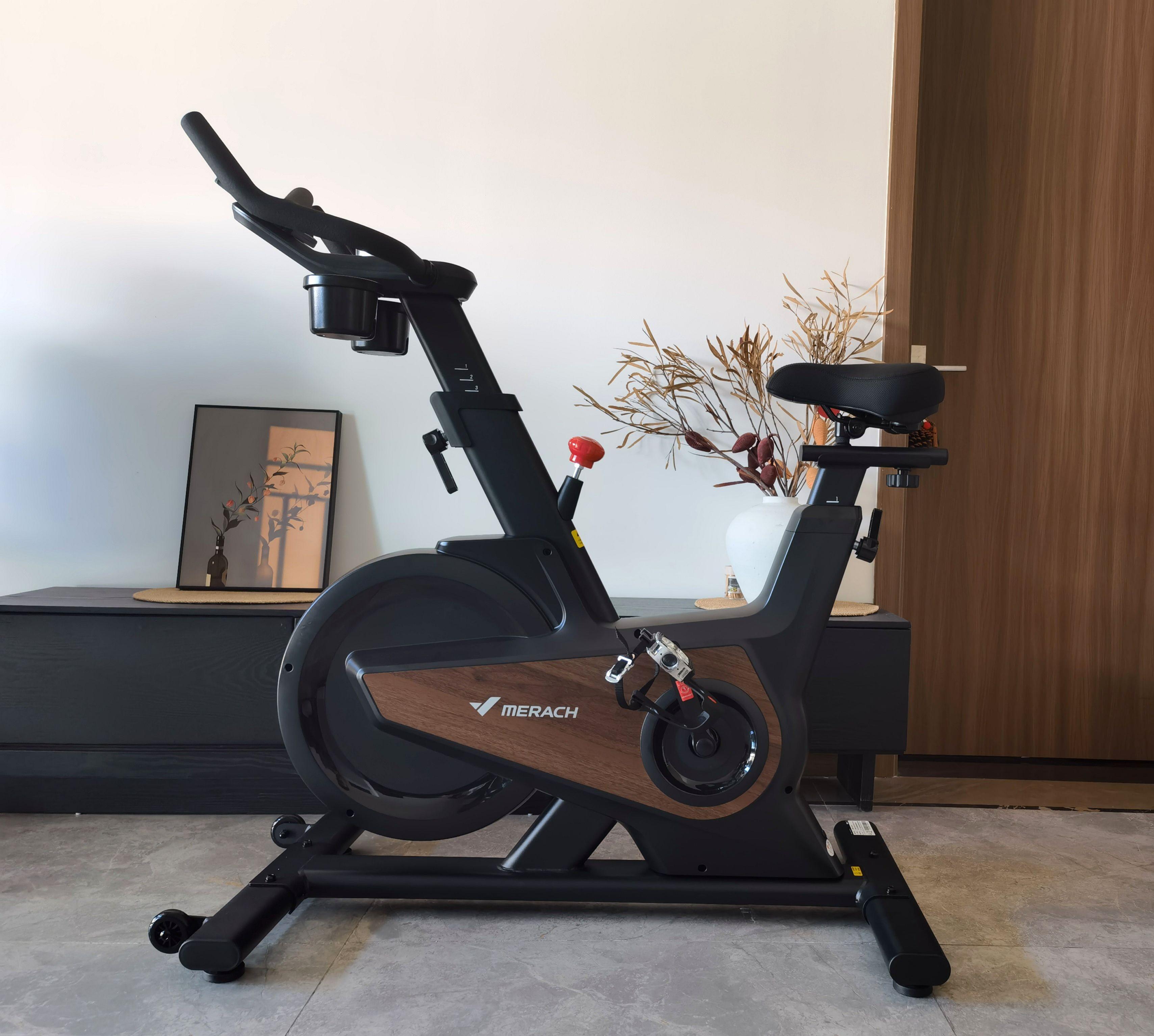 飞轮重量与磁控系统_家用跑步机什么牌子的好_动感单车选购指南