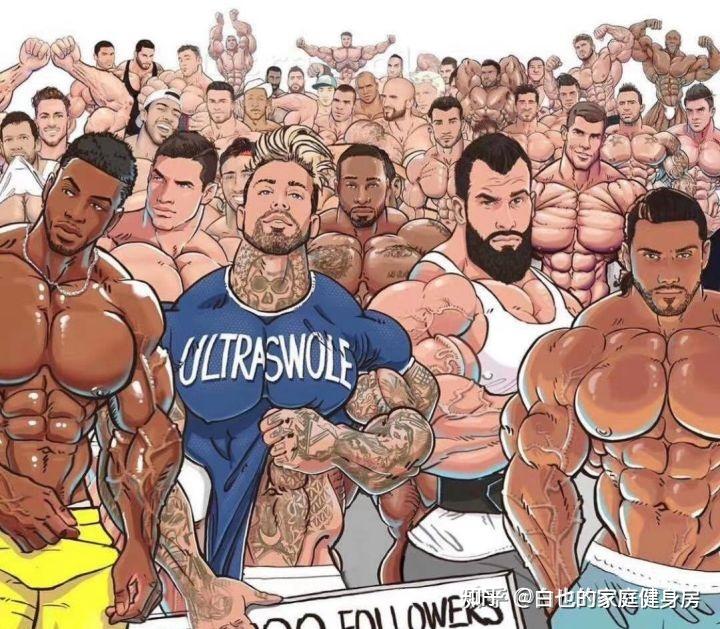 健身运动手套_健身专业手套_wonny健身手套怎么样