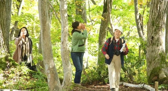 大众健身广场舞蹦迪摇_大众广场舞不是闹着玩_大众化的广场舞