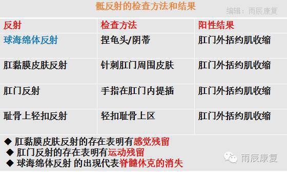髋关节训练器的适应症_髋关节训练椅_髋关节训练椅的用途