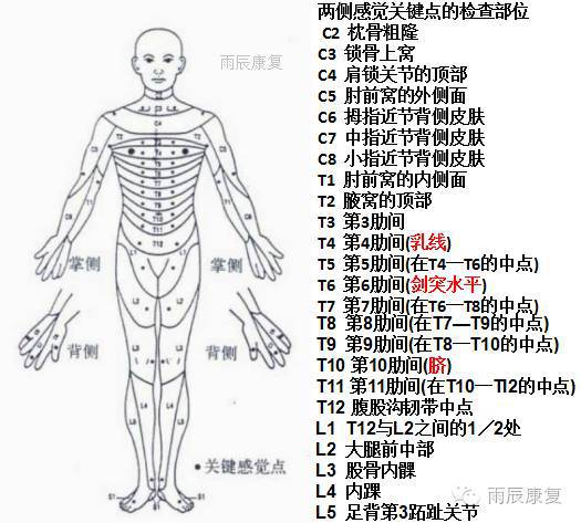髋关节训练椅的用途_髋关节训练椅_髋关节训练器的适应症
