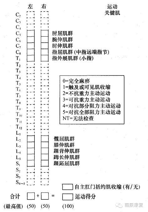 髋关节训练椅的用途_髋关节训练椅_髋关节训练器的适应症