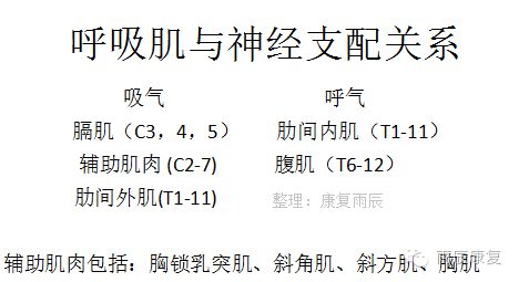 髋关节训练椅的用途_髋关节训练椅_髋关节训练器的适应症