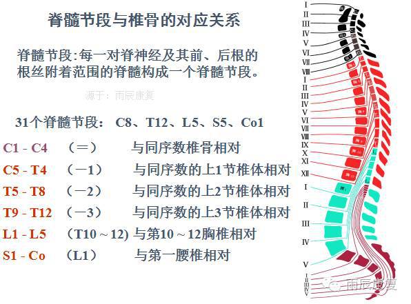 髋关节训练椅_髋关节训练椅的用途_髋关节训练器的适应症