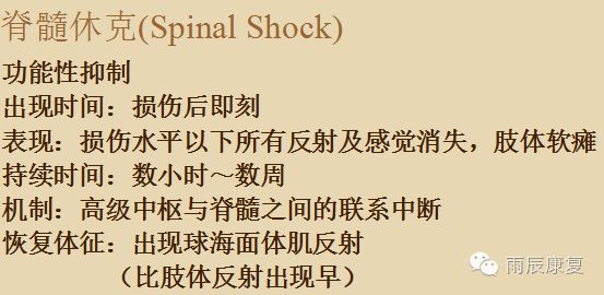 髋关节训练器的适应症_髋关节训练椅的用途_髋关节训练椅