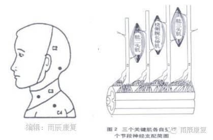 髋关节训练椅的用途_髋关节训练器的适应症_髋关节训练椅