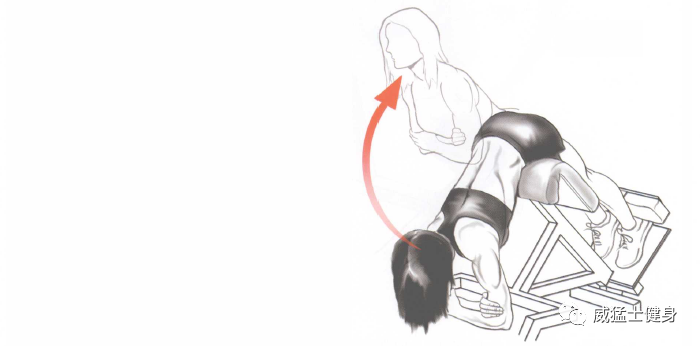 髋关节训练椅说明书_髋关节训练椅_髋关节训练器的适应症